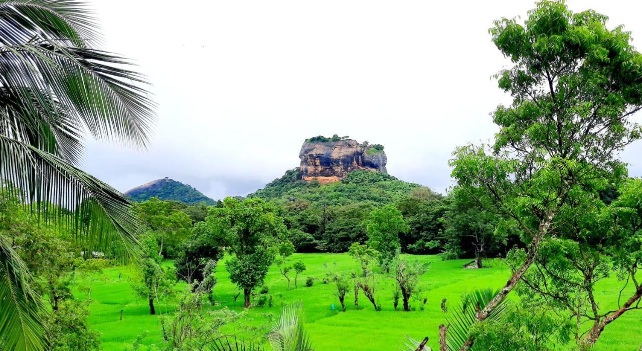 Lakmini Lodge Sigiriya Eksteriør bilde